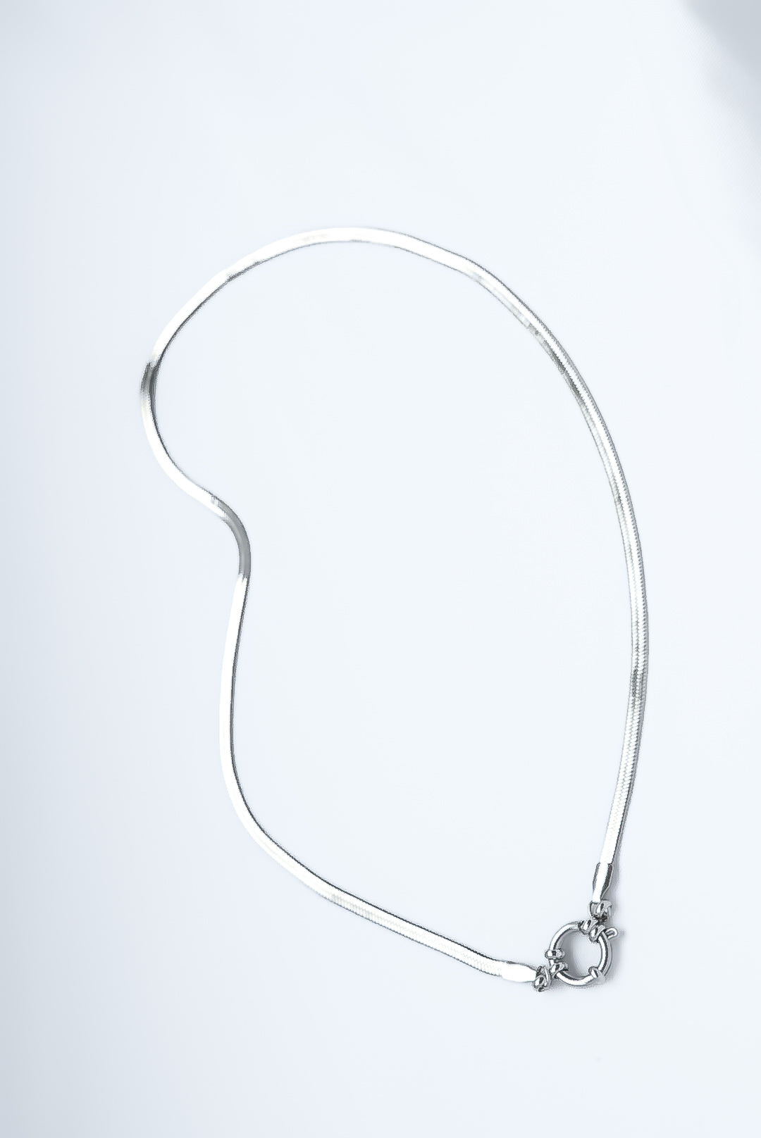 Silver Snake Chain Necklace