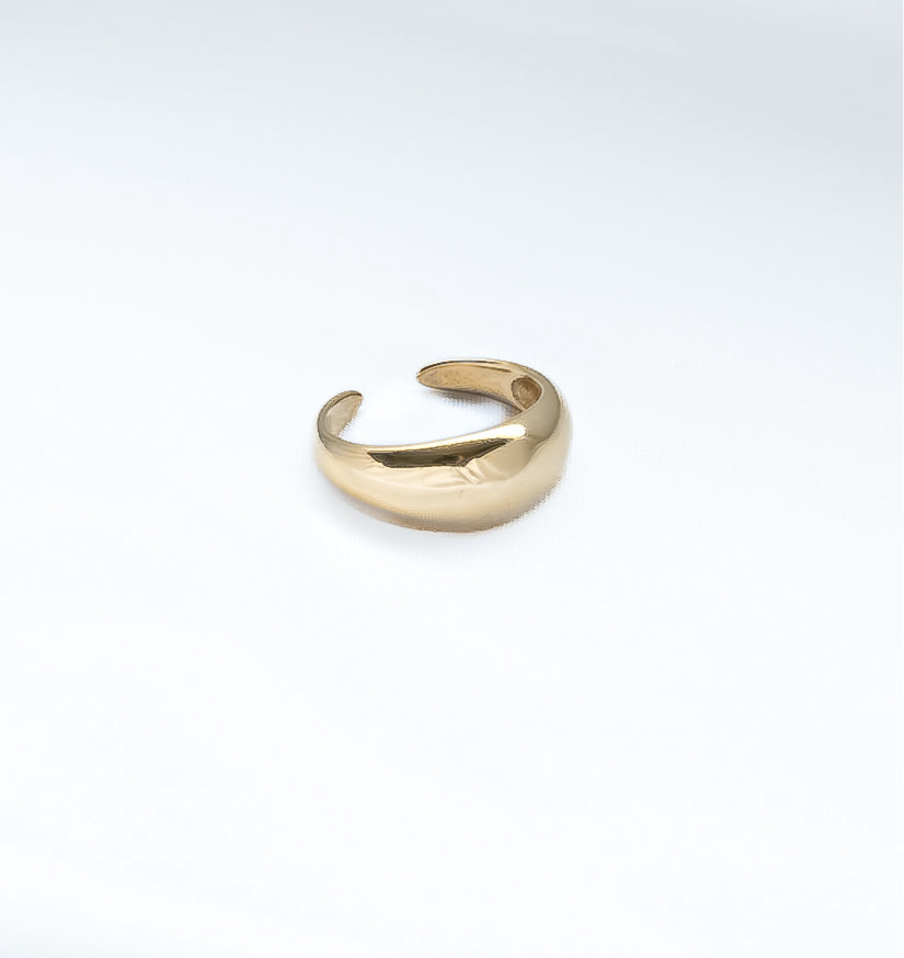 Sculpted Dome Ring Ariella Edit